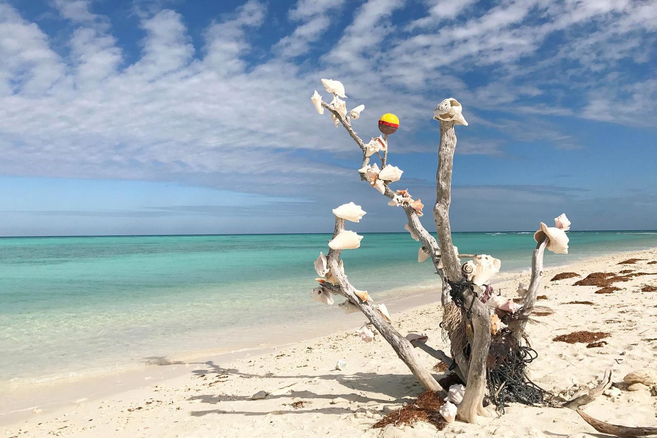 Conch Casa Villa Key West Exteriör bild